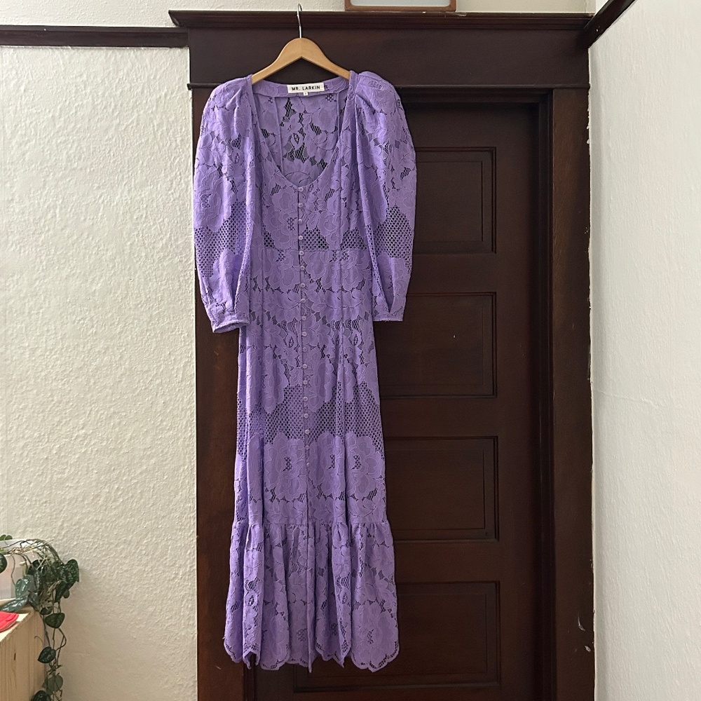 Mr. Larkin Penny Dress